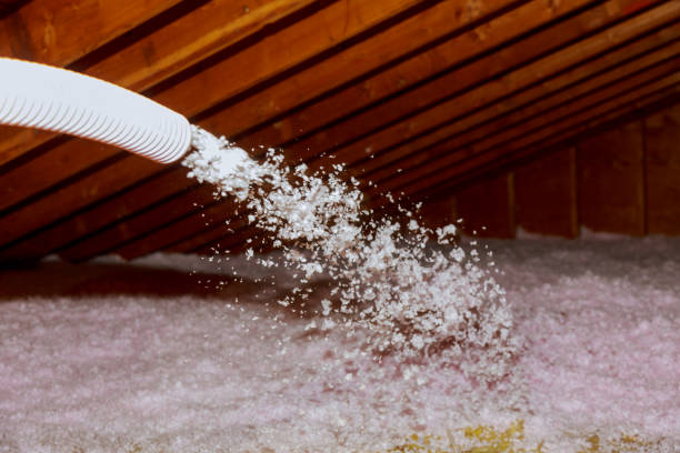 Types of Insulation We Offer in Wrens, GA
