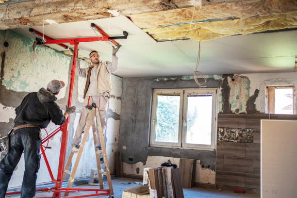 Best Specialized Insulation Services in Wrens, GA