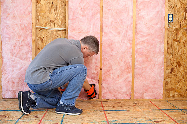 Best DIY Insulation Kits and Guidance in Wrens, GA