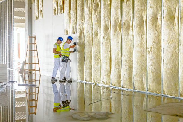 Best Spray Foam Insulation in Wrens, GA